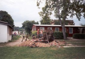 1999 Der Stubben der Birke wird geborgen