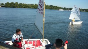 Opti-Oldi