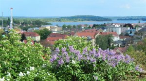 Werder blüht 